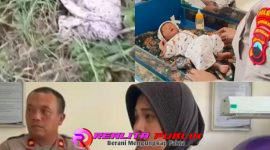 Oplus_16908288