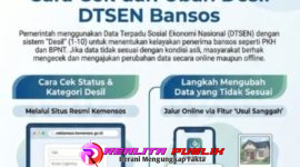 Oplus_16908288