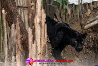 Oplus_16908288