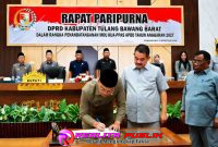 Oplus_16908288