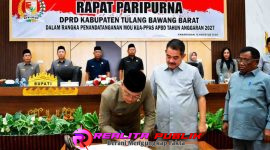 Oplus_16908288
