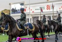 Oplus_16908288