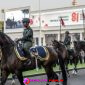 Oplus_16908288