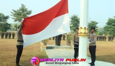 Oplus_16908288