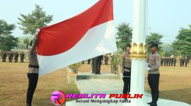 Oplus_16908288