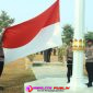 Oplus_16908288