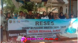 Oplus_16908288