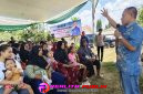 Oplus_16908288