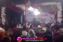 Oplus_16908288