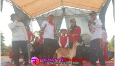 Oplus_16908288