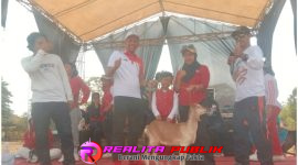 Oplus_16908288