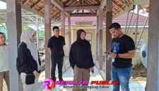 Oplus_16908288