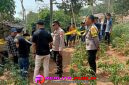Oplus_16908288