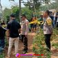 Oplus_16908288