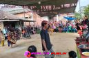 Oplus_16908288
