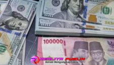 Oplus_16908288