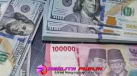 Oplus_16908288