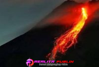 Oplus_16908288