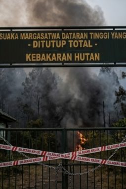 berita-rekomendasi-foto