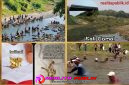 Oplus_16908288