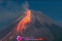 Oplus_16908288