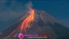 Oplus_16908288