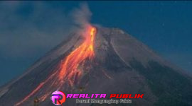 Oplus_16908288