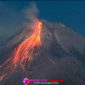 Oplus_16908288