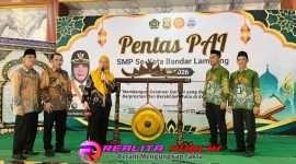 Oplus_16908288