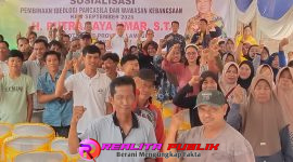 Oplus_16908288