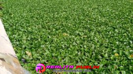 Oplus_16908288
