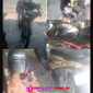 Oplus_16908288