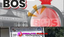 Oplus_16908288