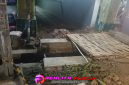 Oplus_16908288