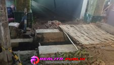 Oplus_16908288