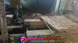 Oplus_16908288