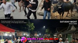 Oplus_16908288