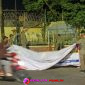 Oplus_16908288